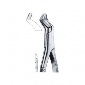 Extracting Forceps American Pattern
